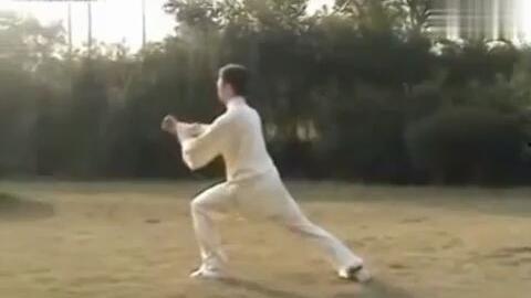 老架太极一路视频,古韵流光，动静之间