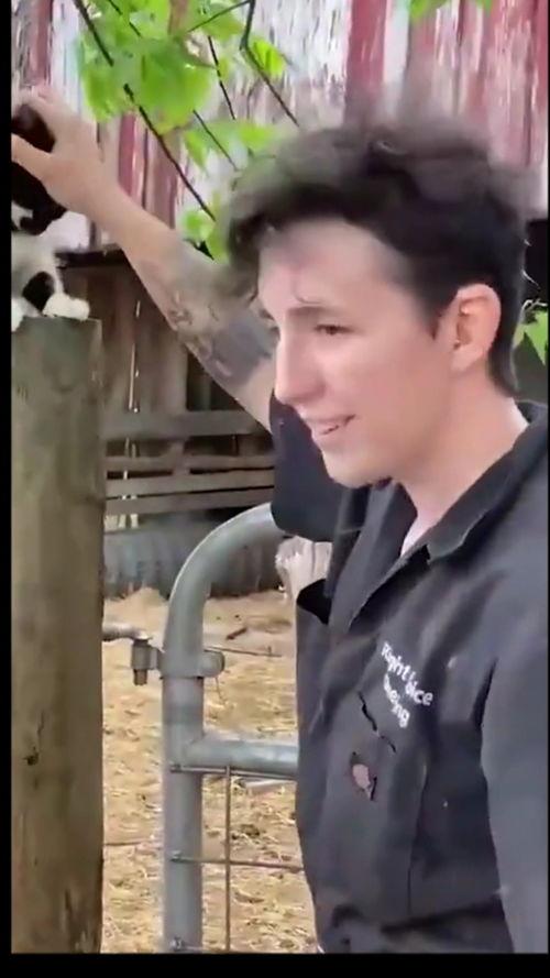 老公给我剃毛毛视频,老公剃毛毛的温馨回忆录