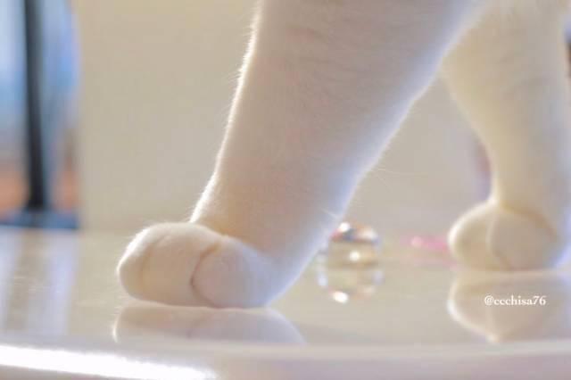 摸丝袜腿什么感觉,探寻丝袜与肌肤的亲密接触