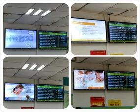 妇科养殖视频,视频详解养殖全过程