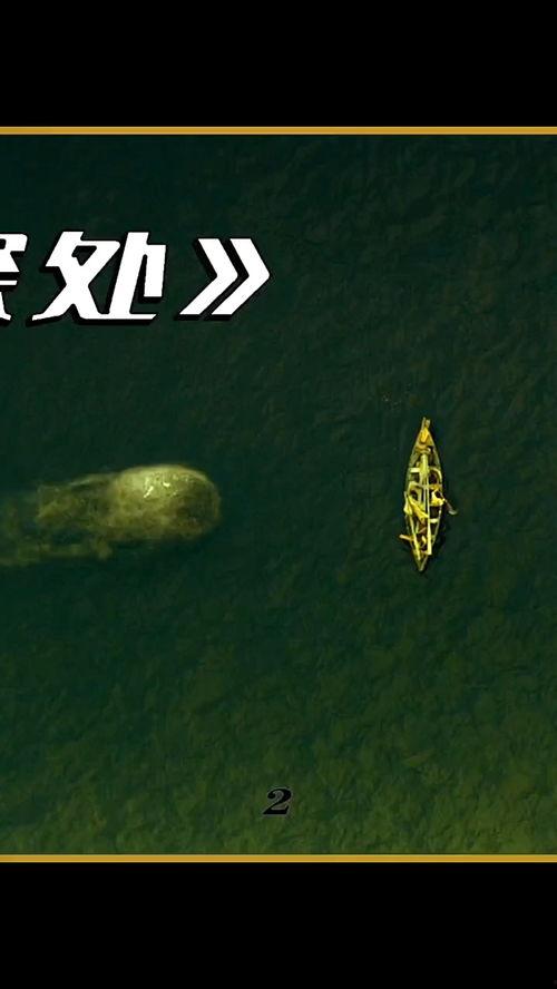 鲸的复仇在线播放,海洋巨兽的复仇传奇在线播放