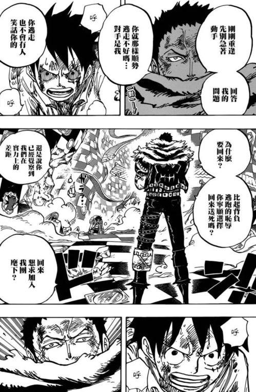 海贼王888在线播放