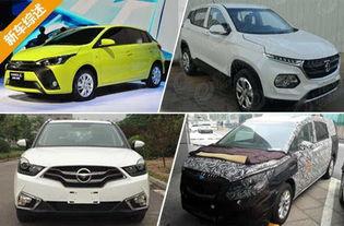 最新爆料车型大全图片,惊艳亮相，科技与时尚的完美融合”